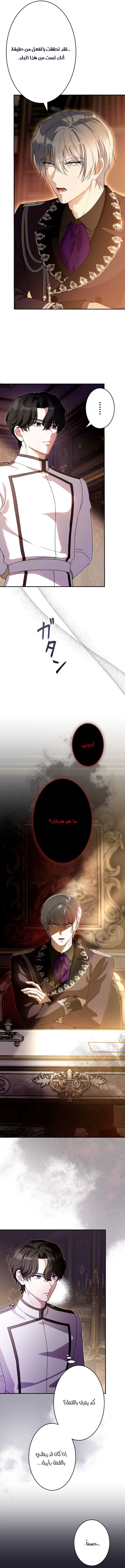 الصفحة 3