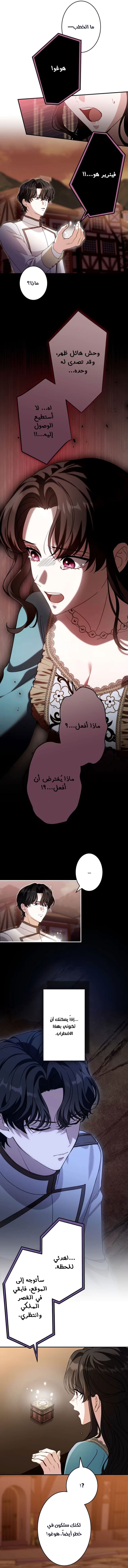 الصفحة 7