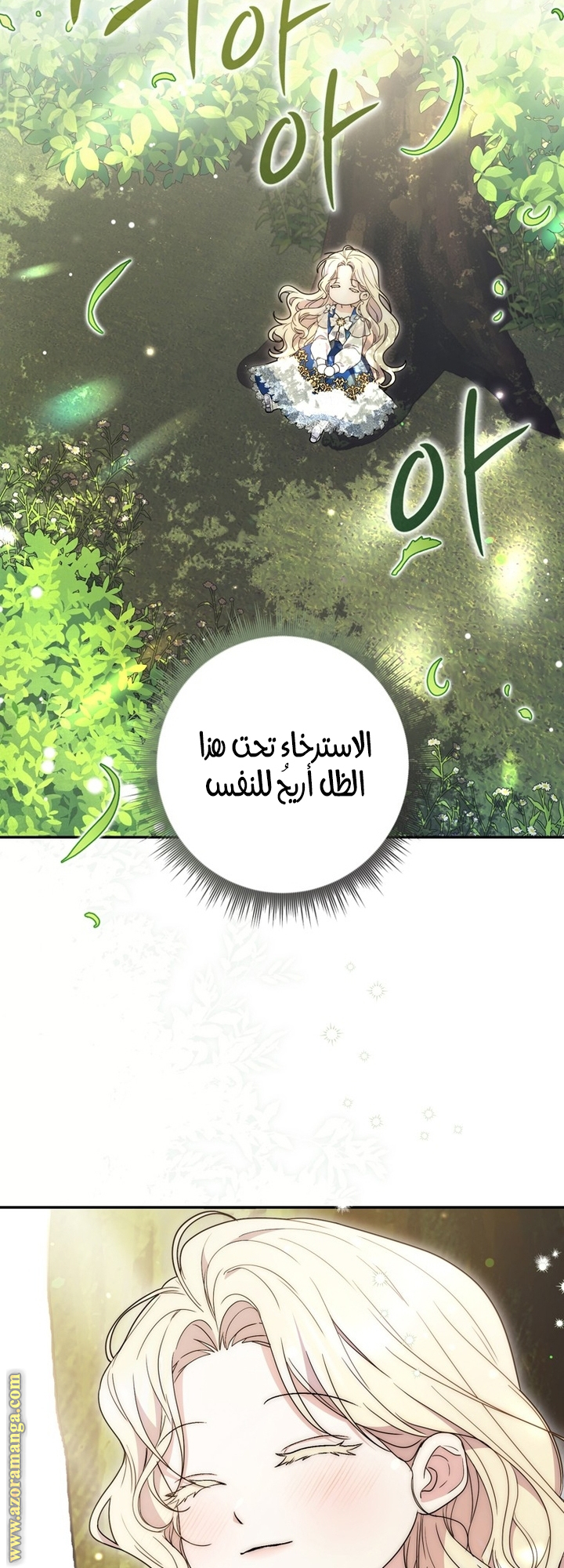 الصفحة 21