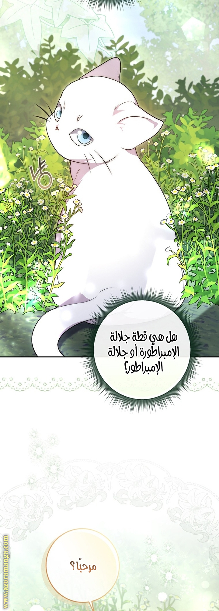 الصفحة 24