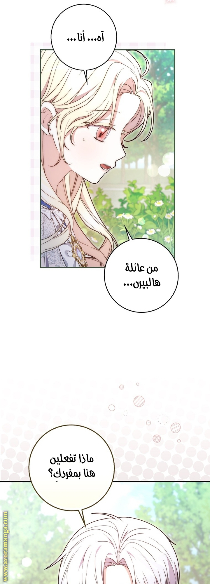 الصفحة 31