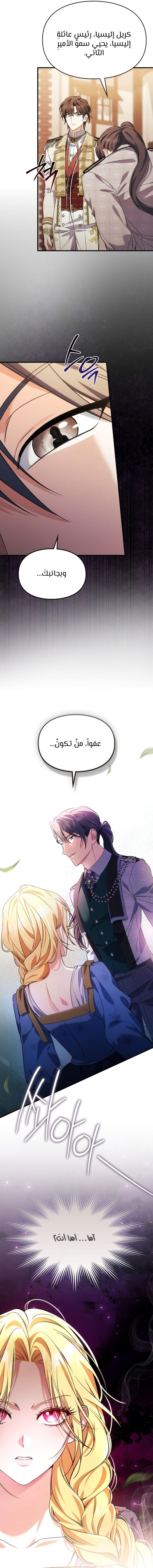 الصفحة 14