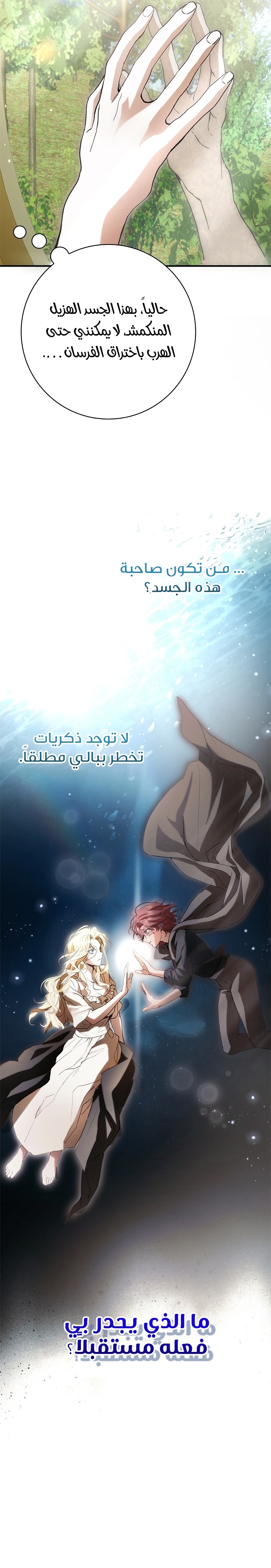الصفحة 38