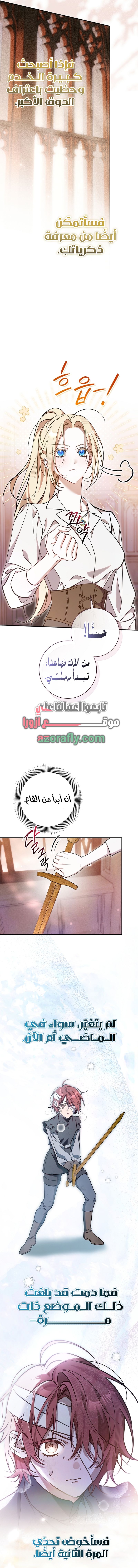 الصفحة 17