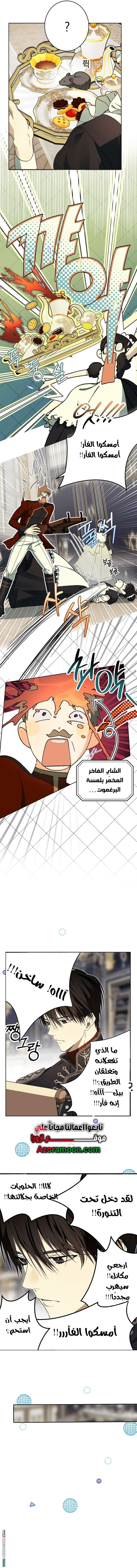 الصفحة 13