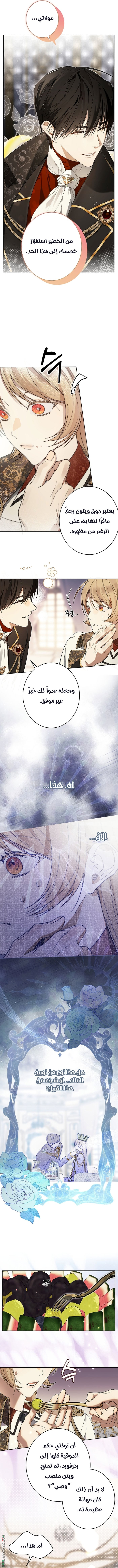 الصفحة 2