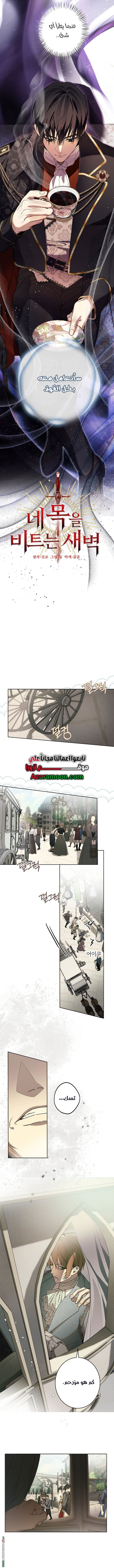 الصفحة 8