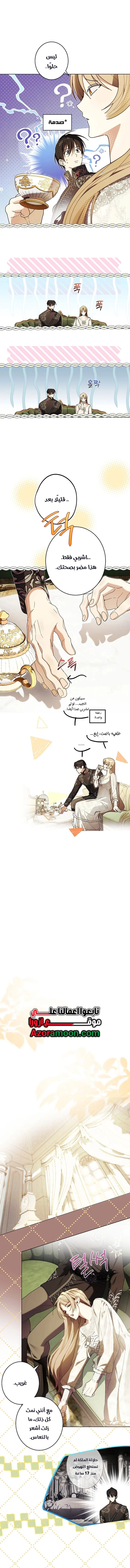 الصفحة 8