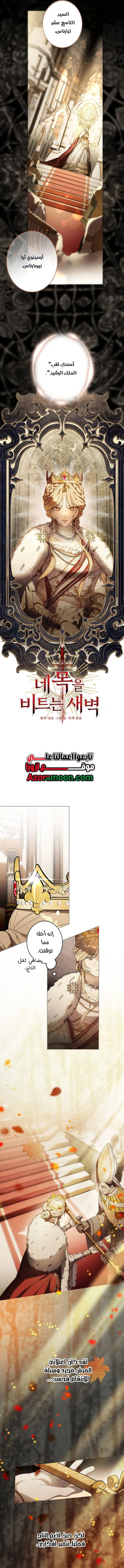 الصفحة 3