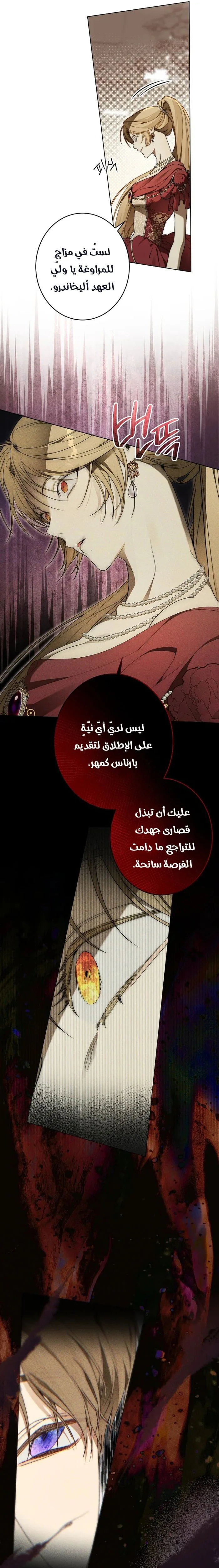 الصفحة 13