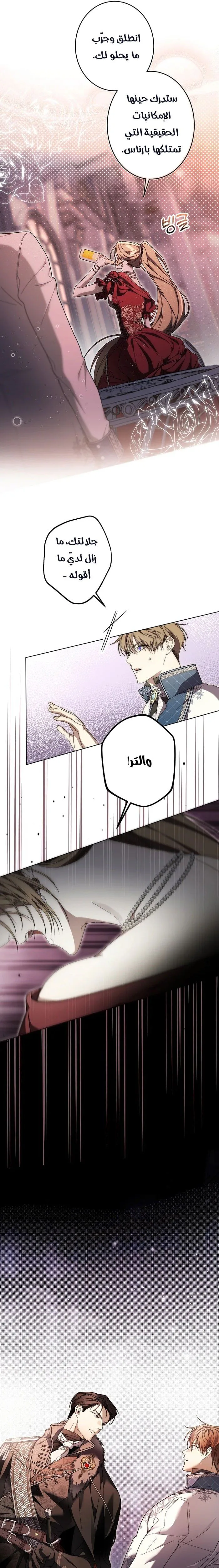 الصفحة 17