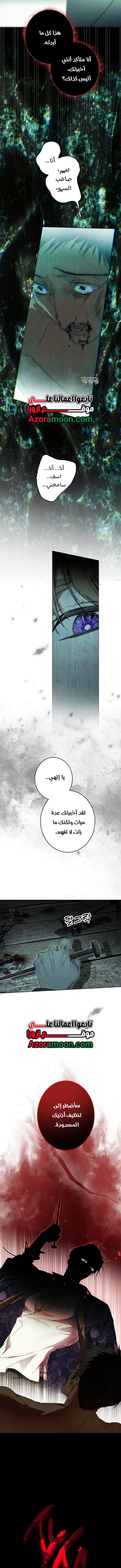 الصفحة 13