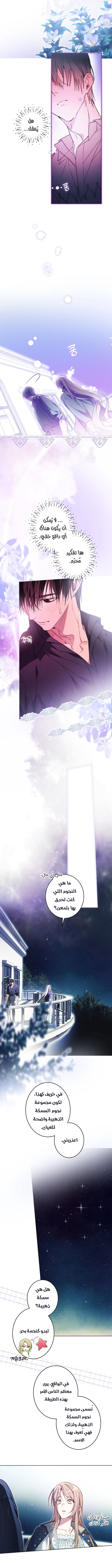 الصفحة 2