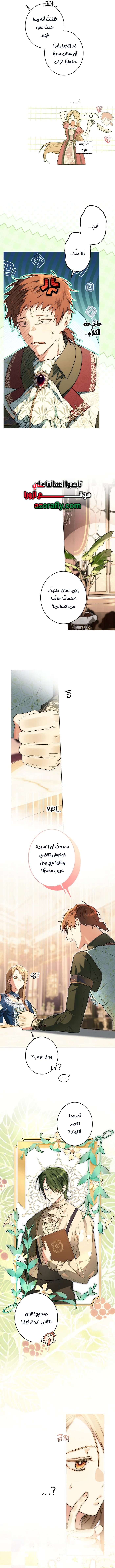 الصفحة 2