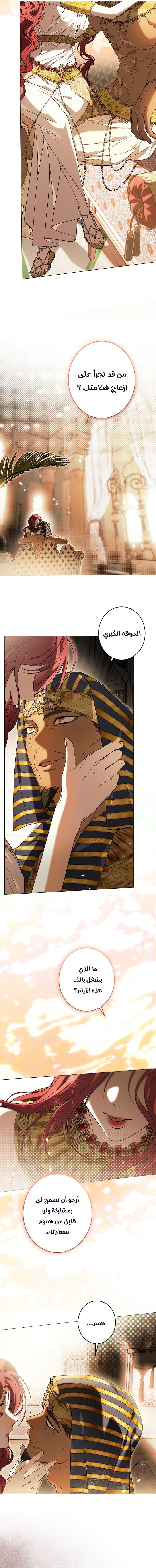 الصفحة 2