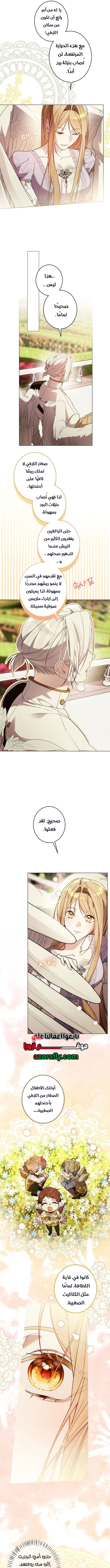 الصفحة 2