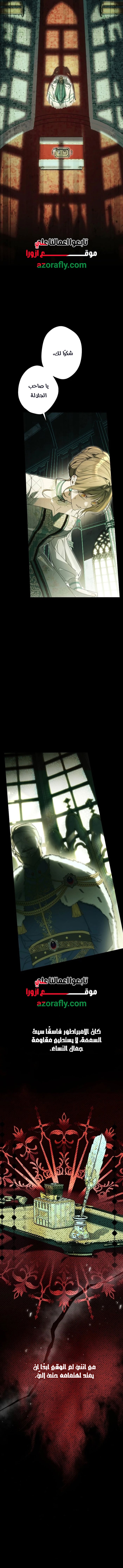 الصفحة 13