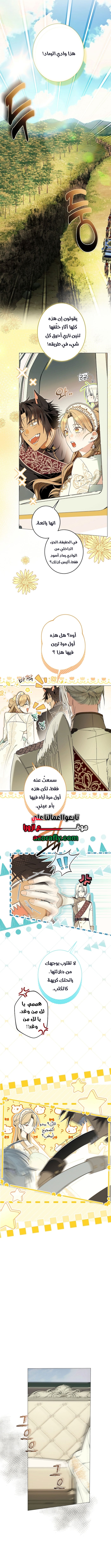 الصفحة 2
