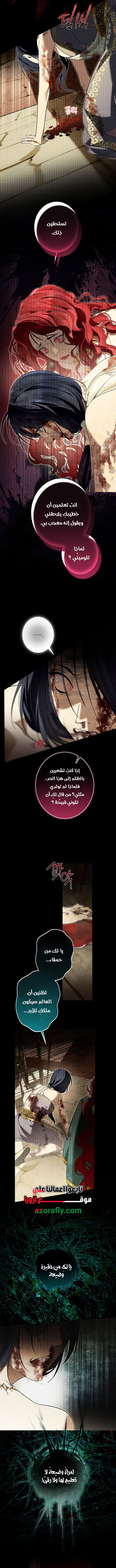 الصفحة 11