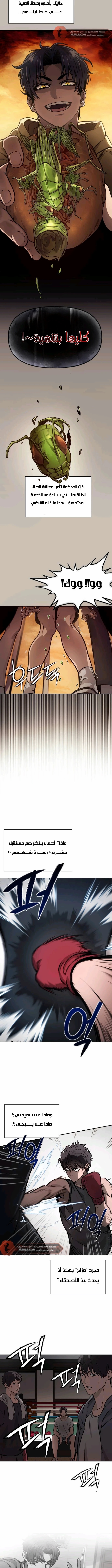 الصفحة 3