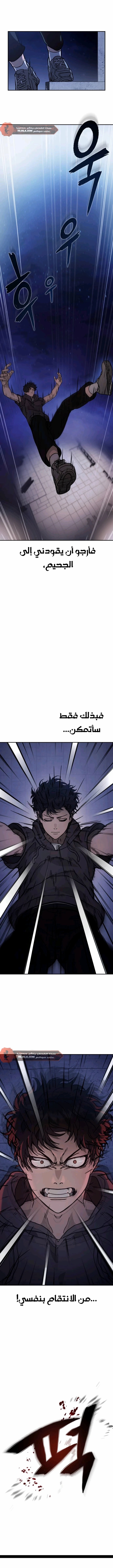الصفحة 17