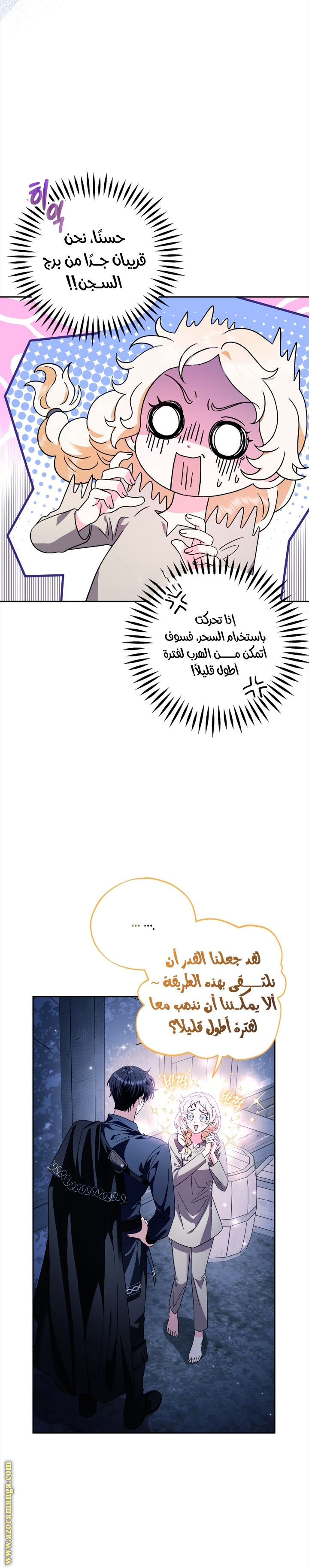 الصفحة 17