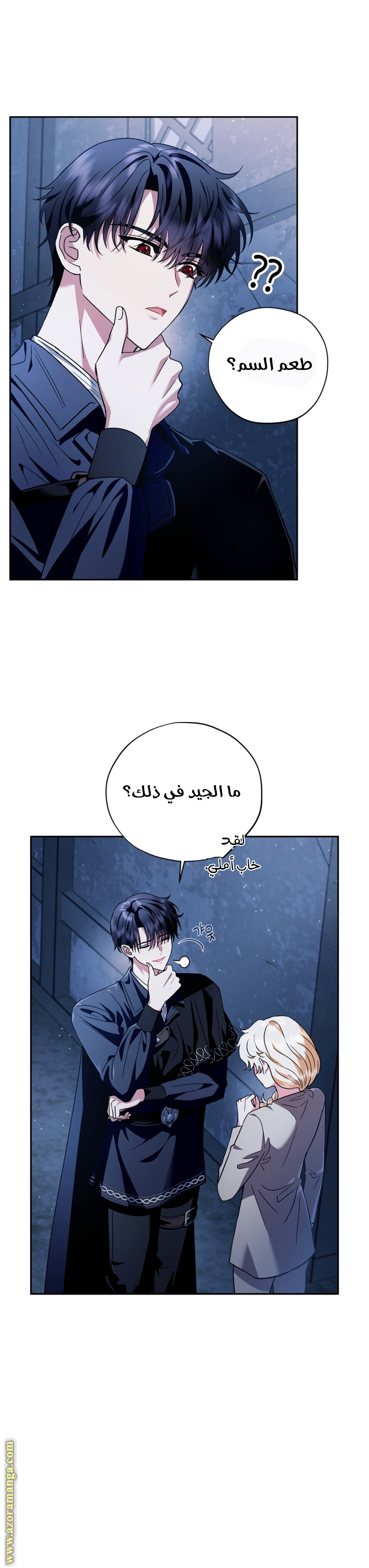 الصفحة 13