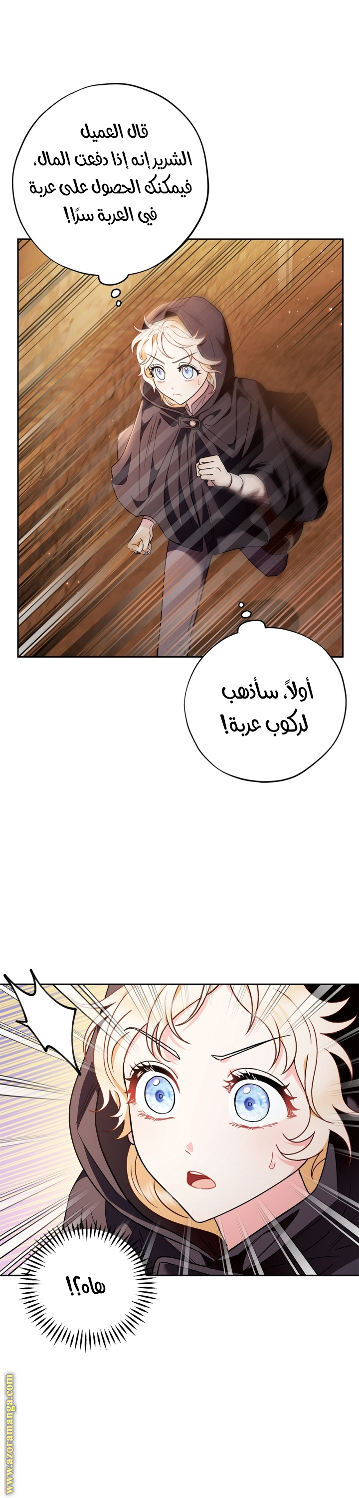 الصفحة 41