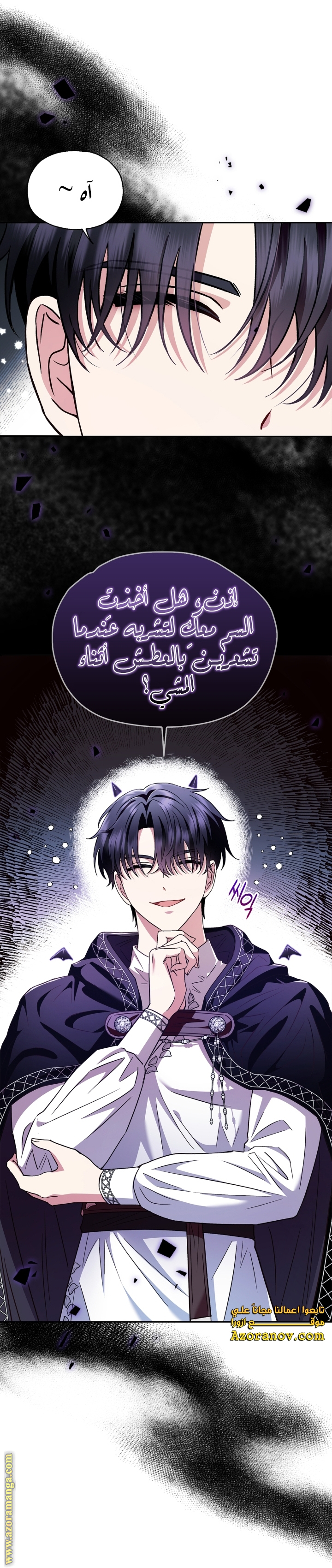 الصفحة 12