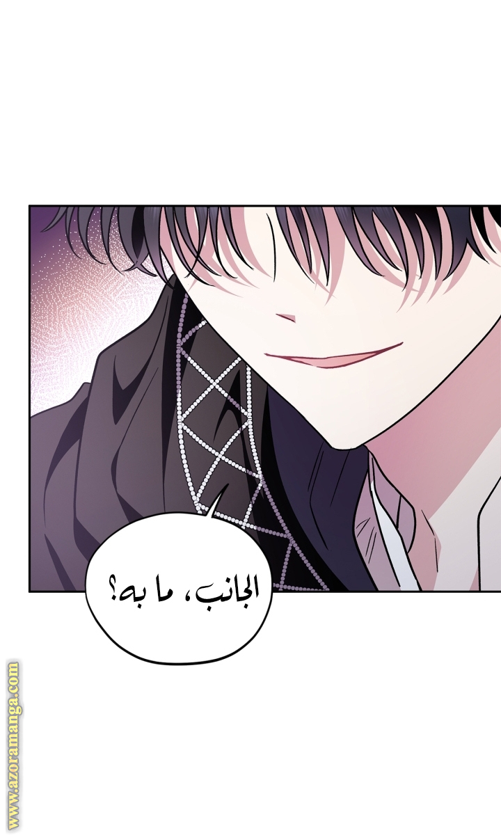 الصفحة 42