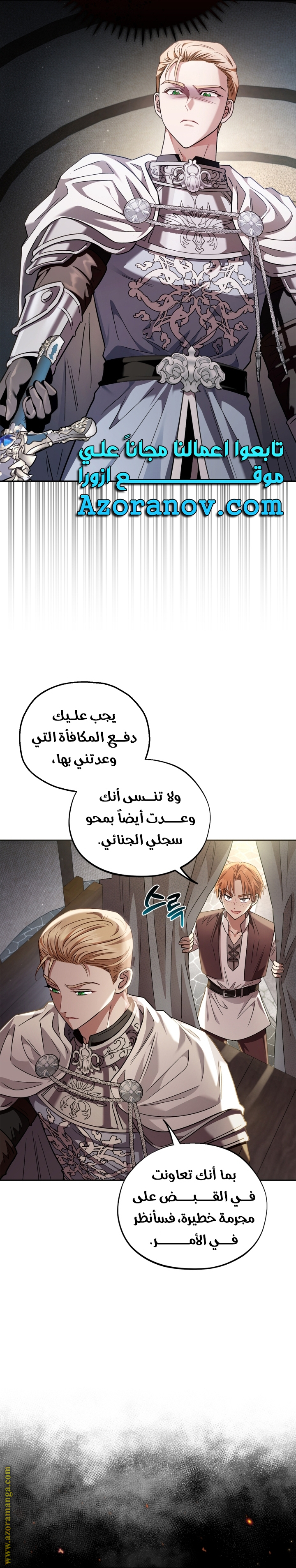 الصفحة 29