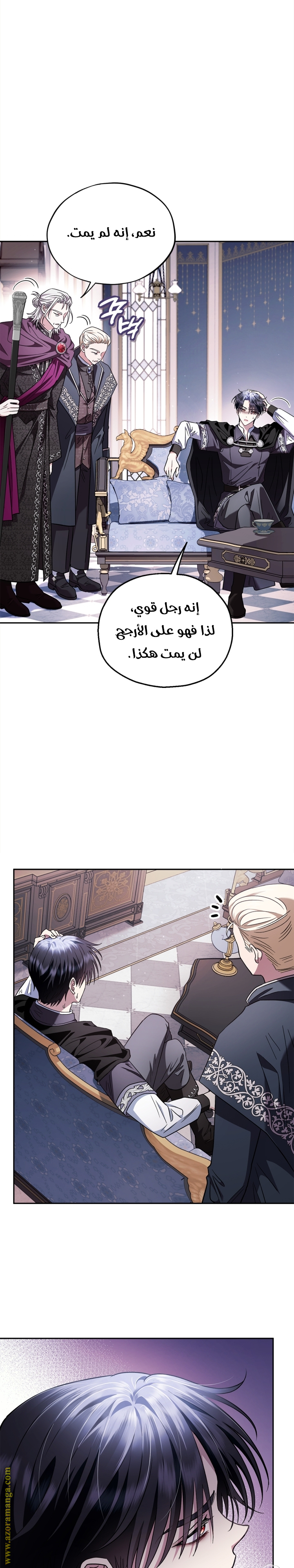 الصفحة 13
