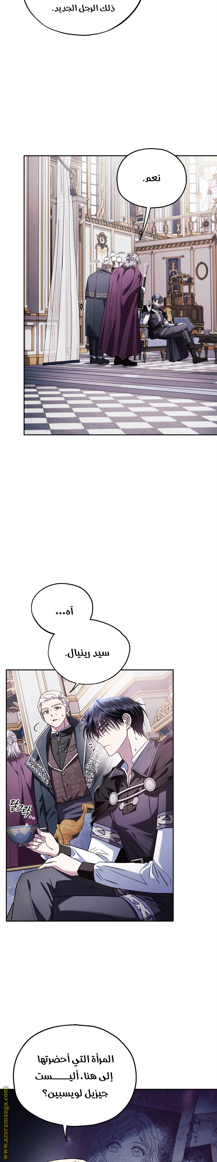 الصفحة 17