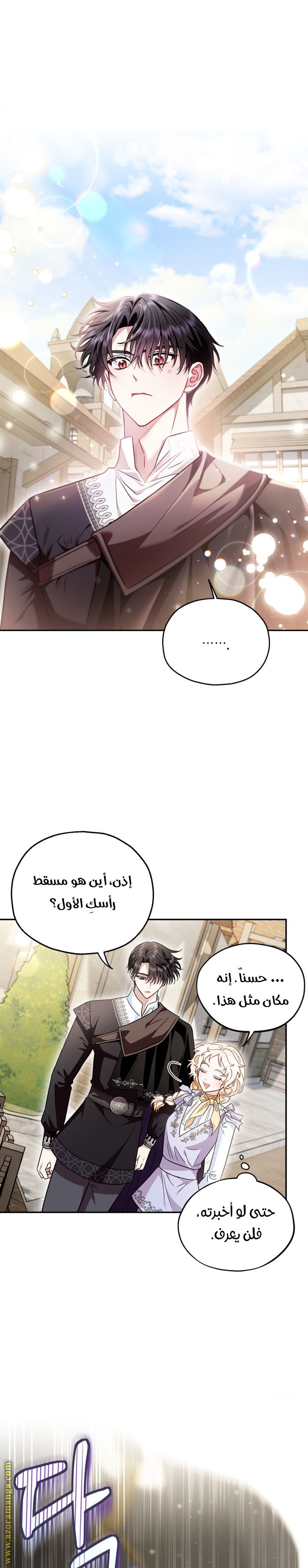 الصفحة 13