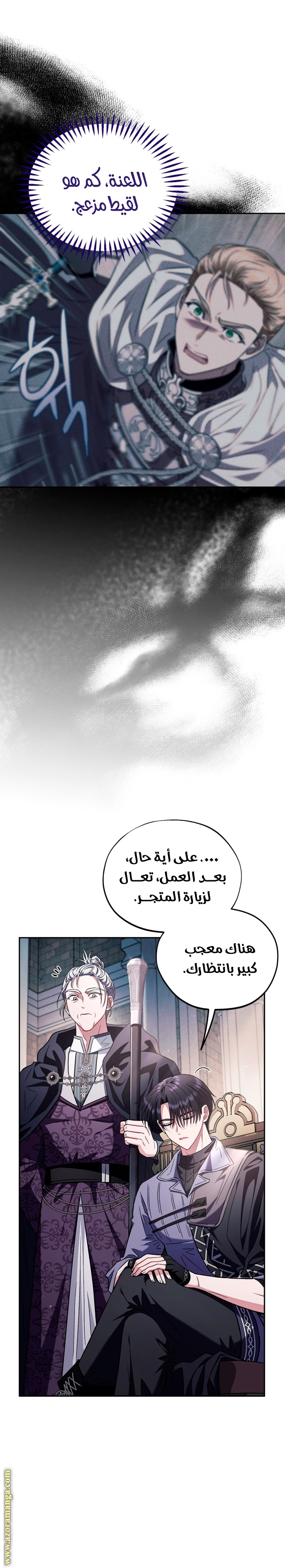الصفحة 17