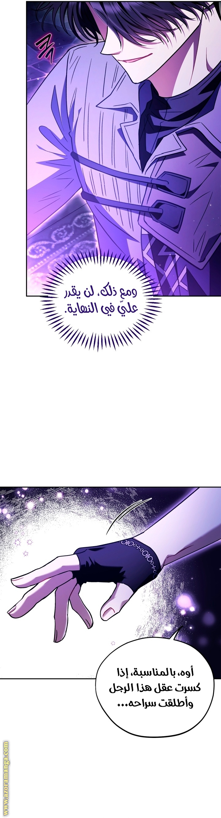 الصفحة 25