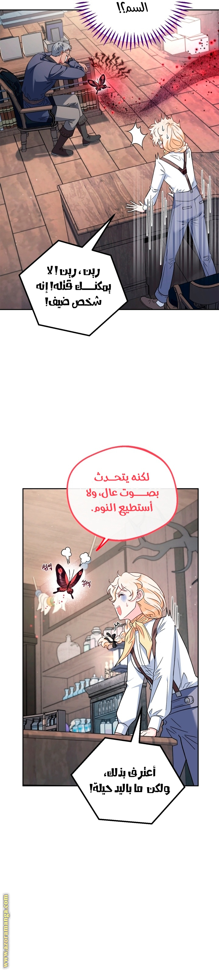 الصفحة 29