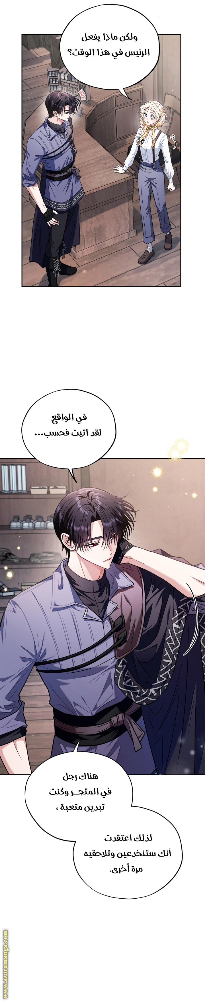 الصفحة 13
