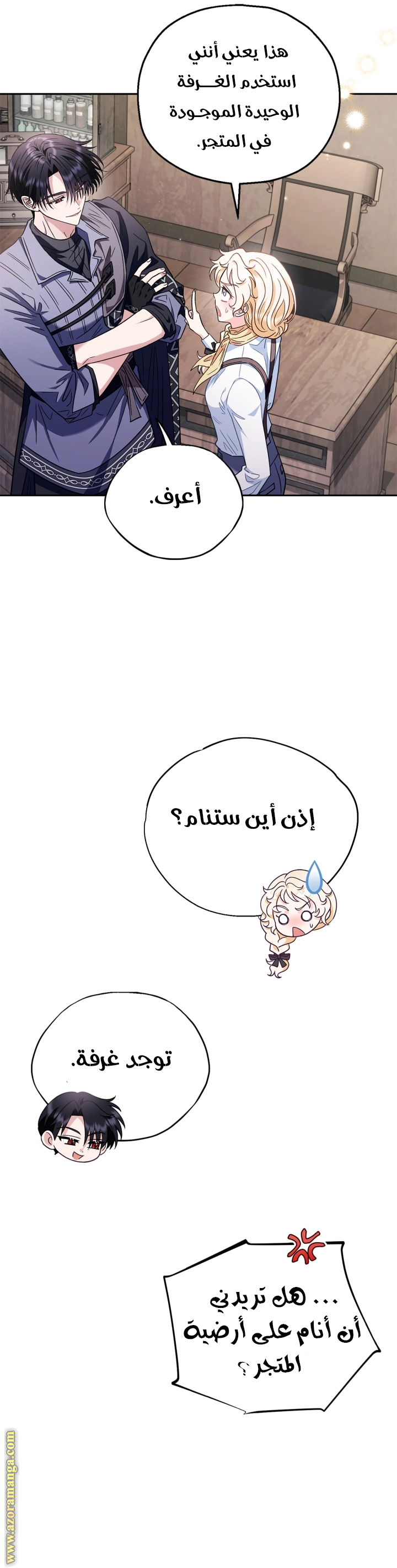 الصفحة 17