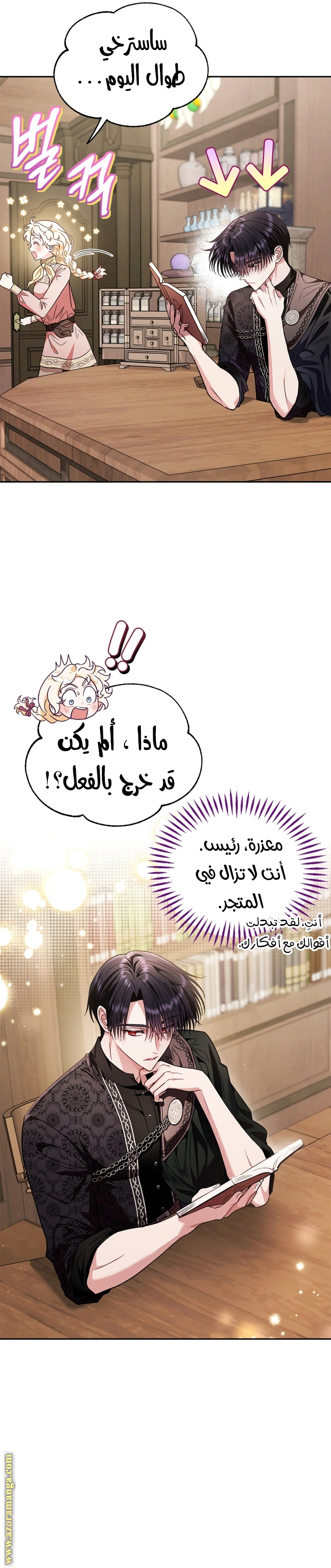 الصفحة 29