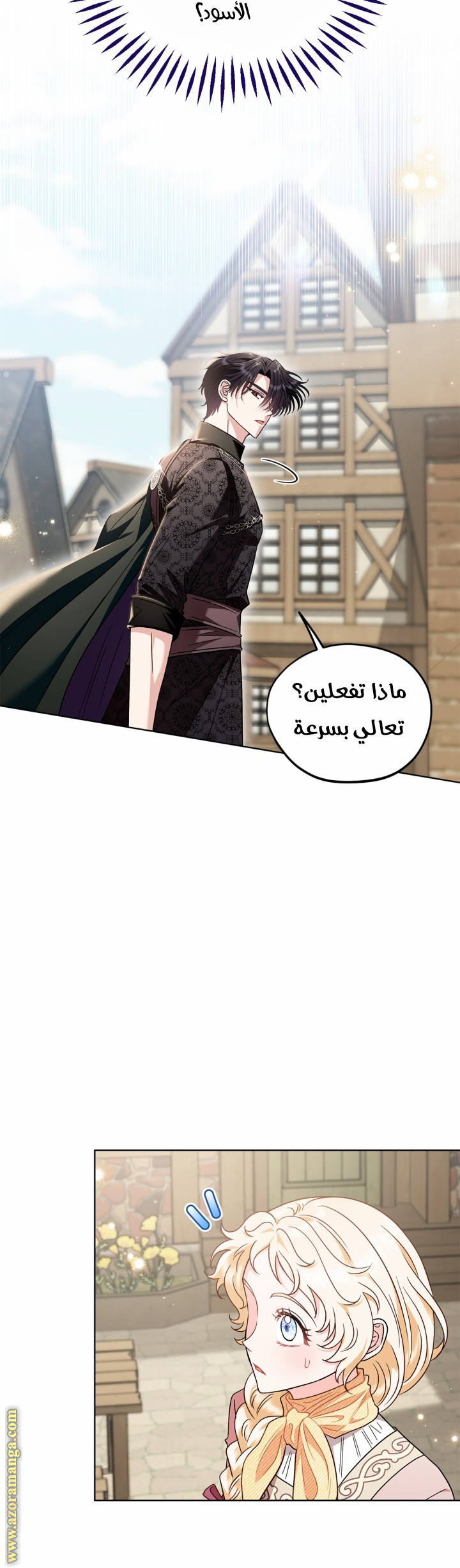 الصفحة 29