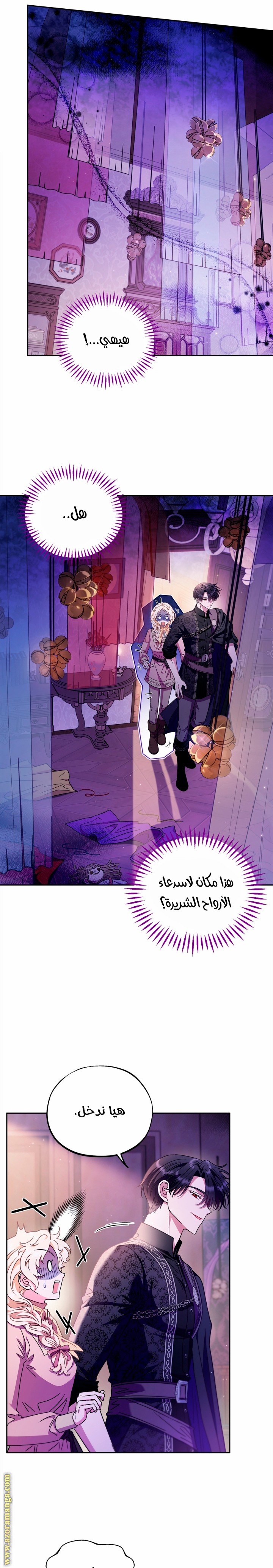 الصفحة 13