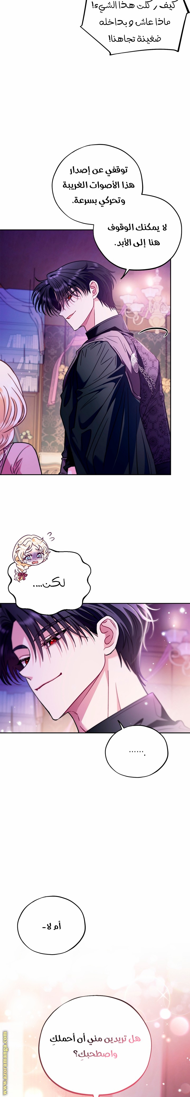 الصفحة 17