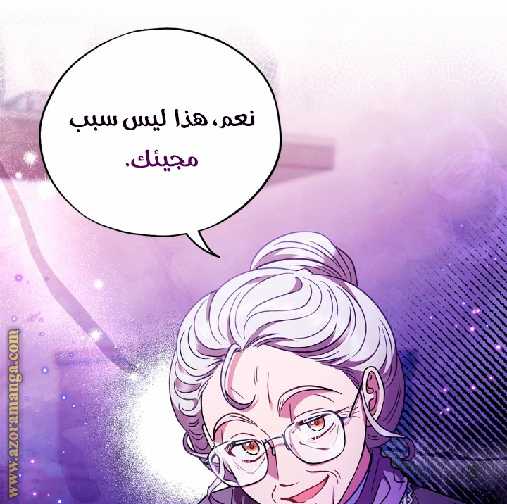 الصفحة 25