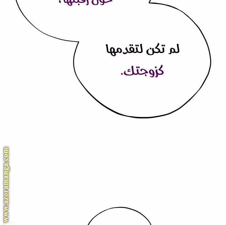 الصفحة 27
