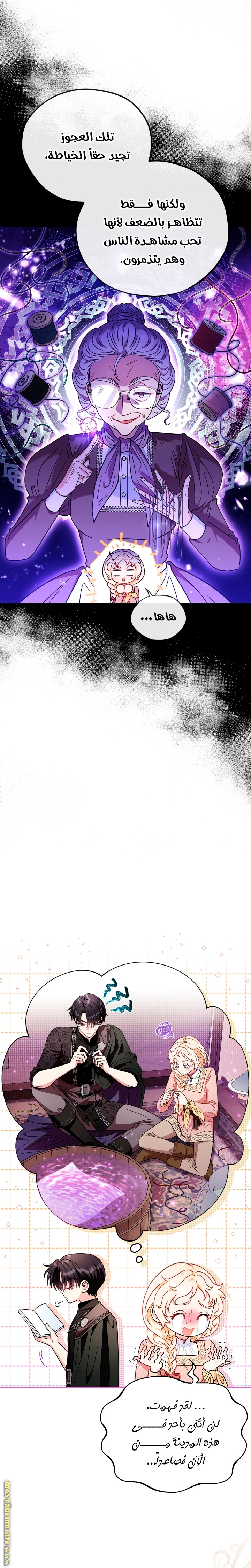 الصفحة 17
