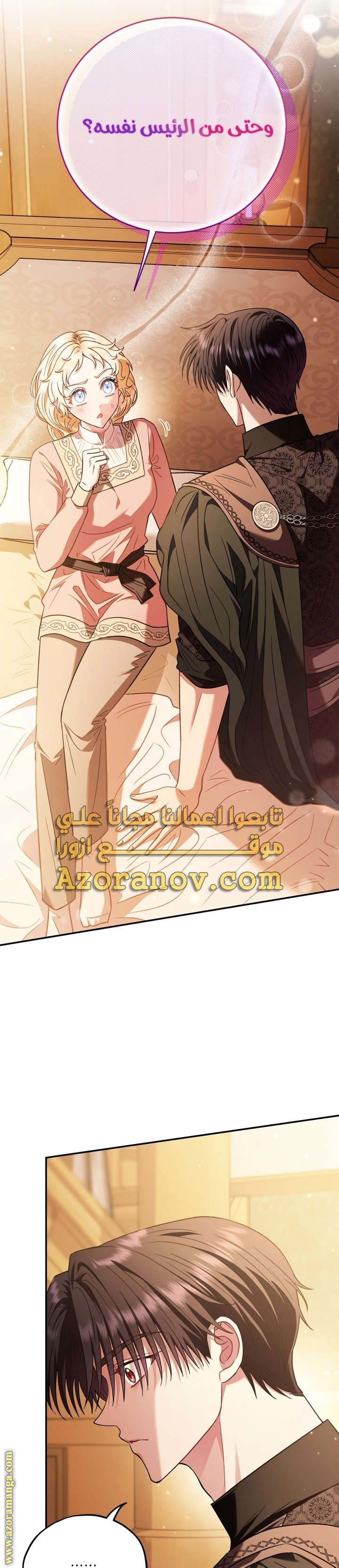 الصفحة 26