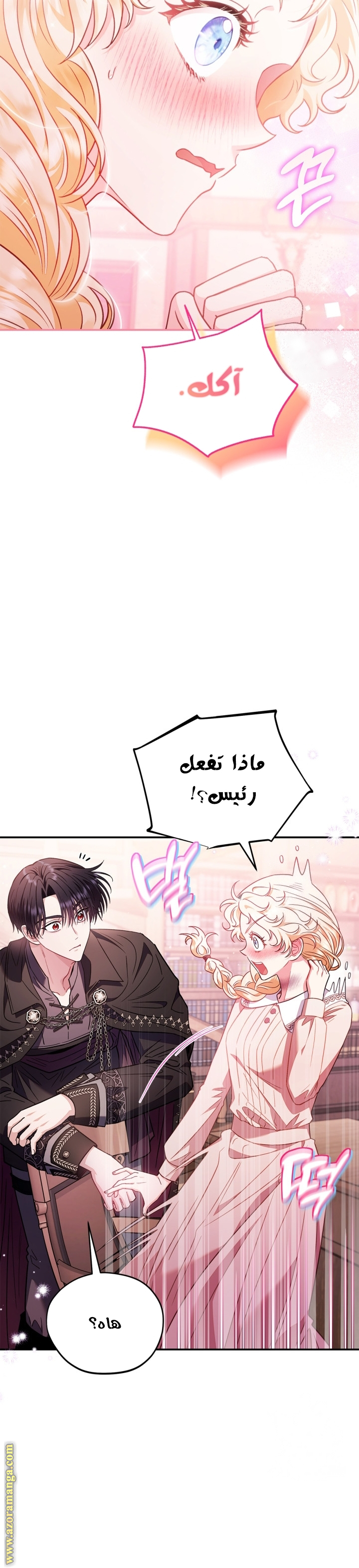 الصفحة 13