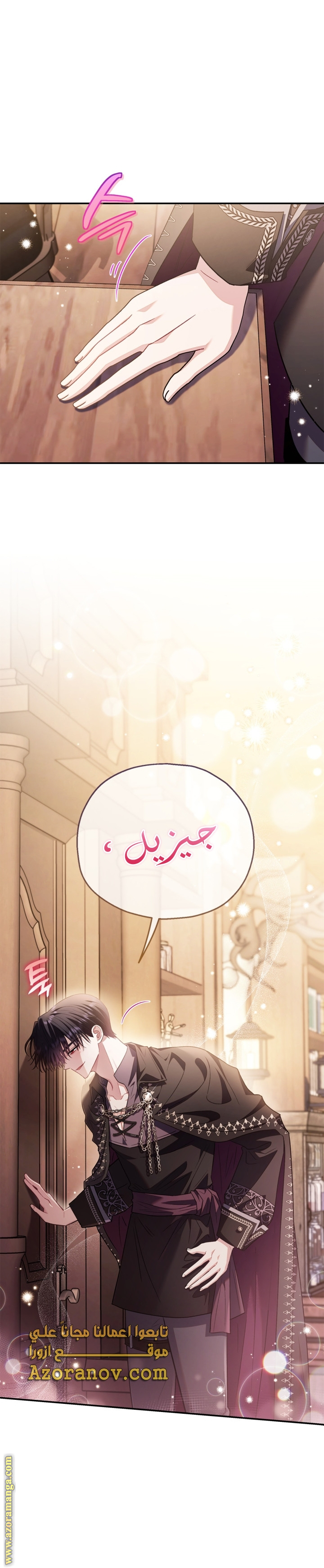 الصفحة 17