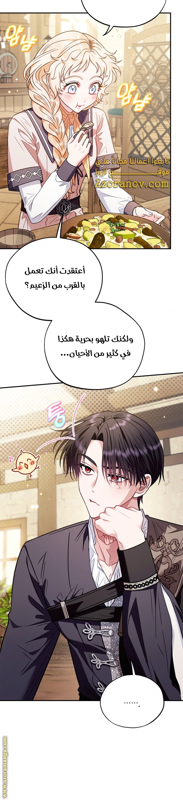 الصفحة 29